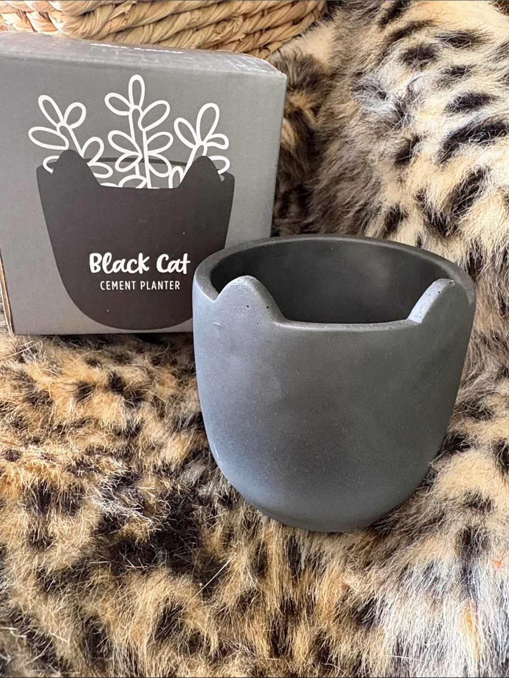 🆕CatLady Black Cat Cement Planter